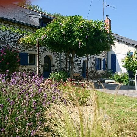 Murmures De Loire Montjean-sur-Loire Екстериор снимка