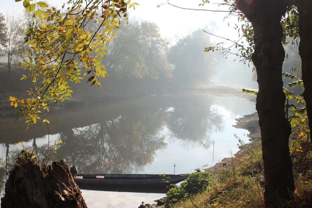 Murmures De Loire Montjean-sur-Loire Екстериор снимка