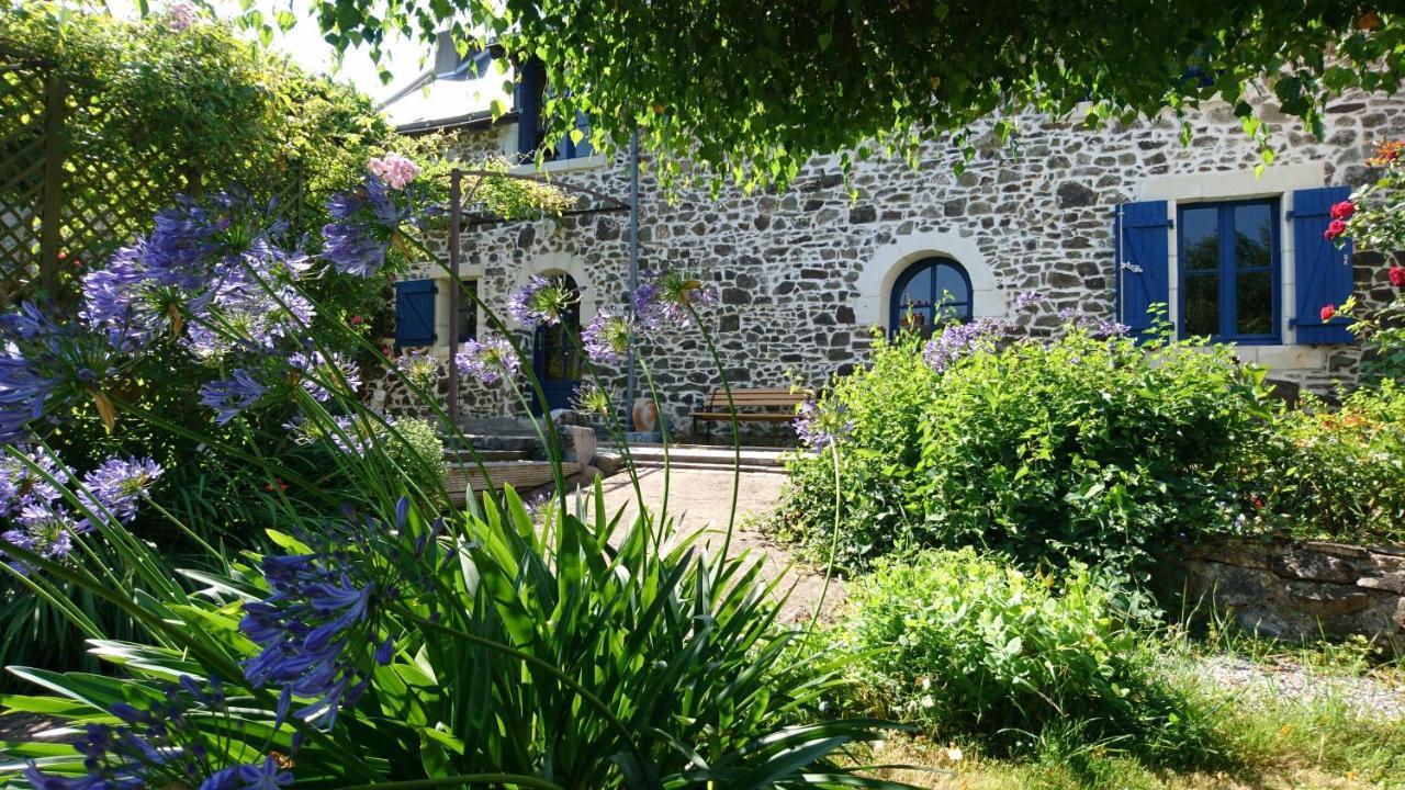 Murmures De Loire Montjean-sur-Loire Екстериор снимка