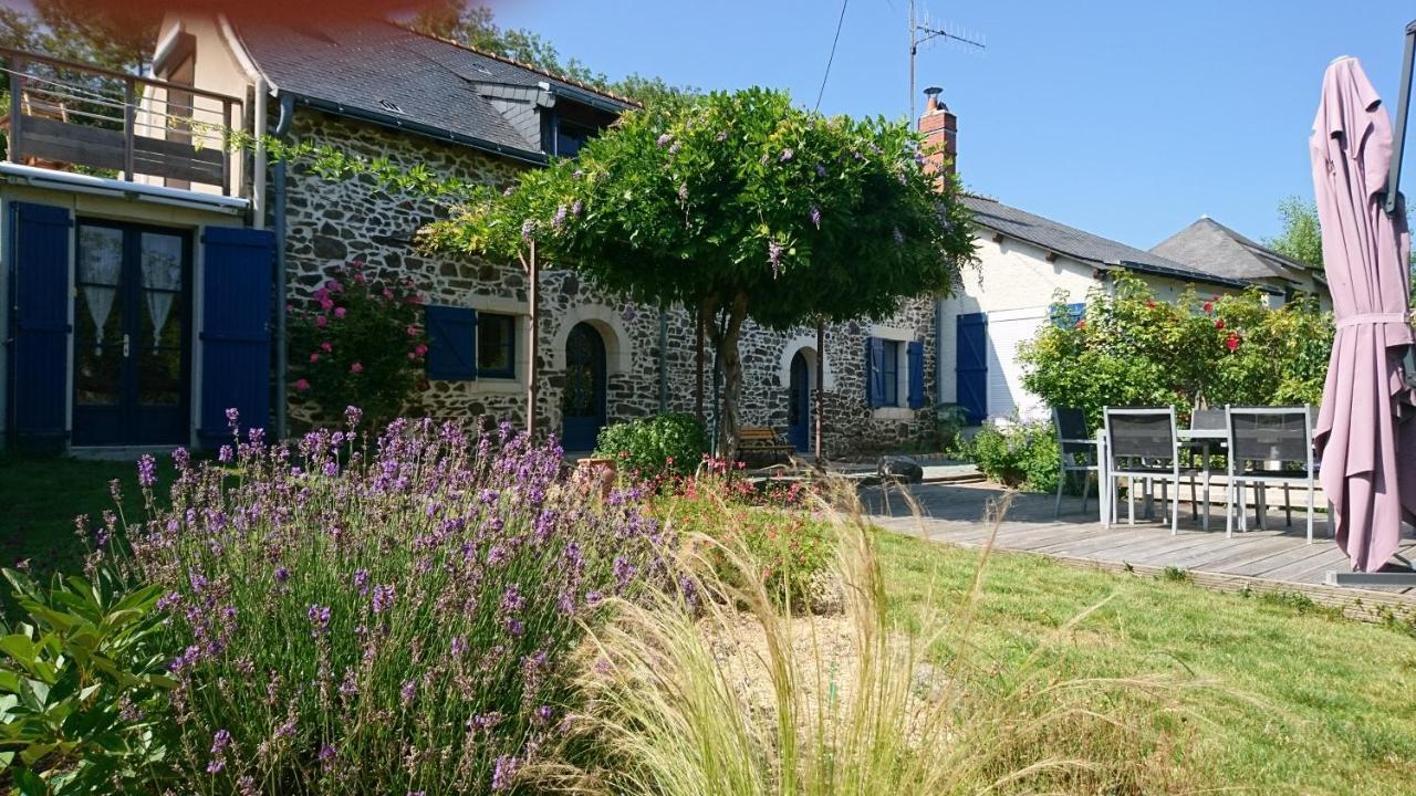 Murmures De Loire Montjean-sur-Loire Екстериор снимка